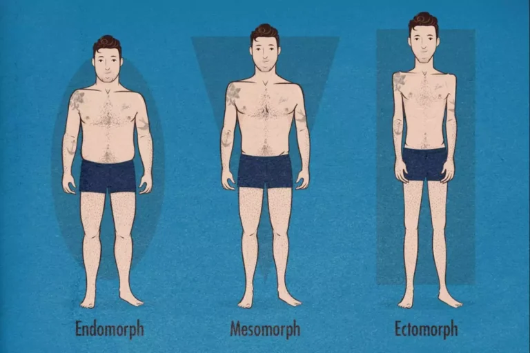 endomorph ectomorph or mesomorph