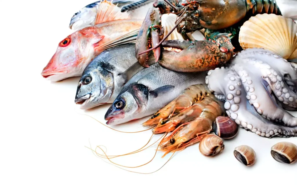 fish and shellfish