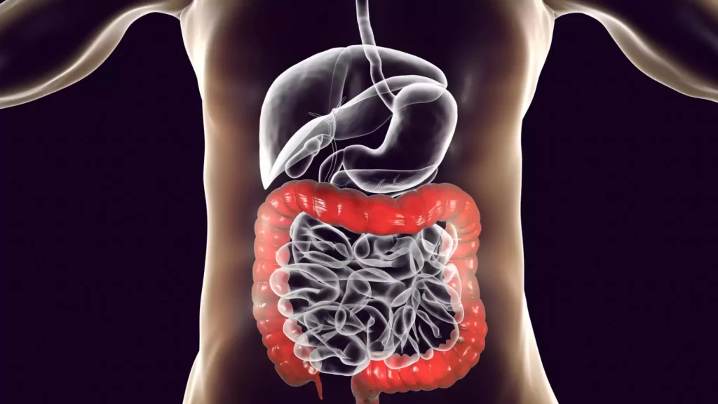 clean your digestive system