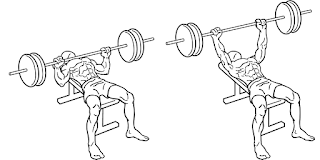 bench press