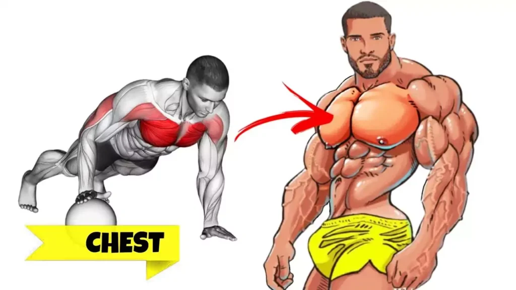 most effective chest exercises