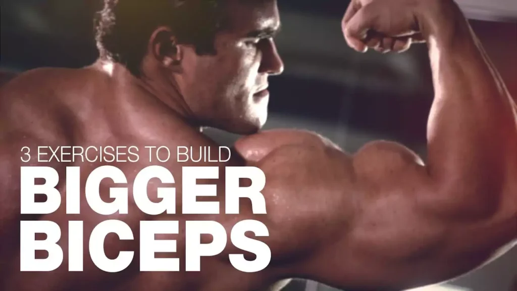 exercises for building bigger guns