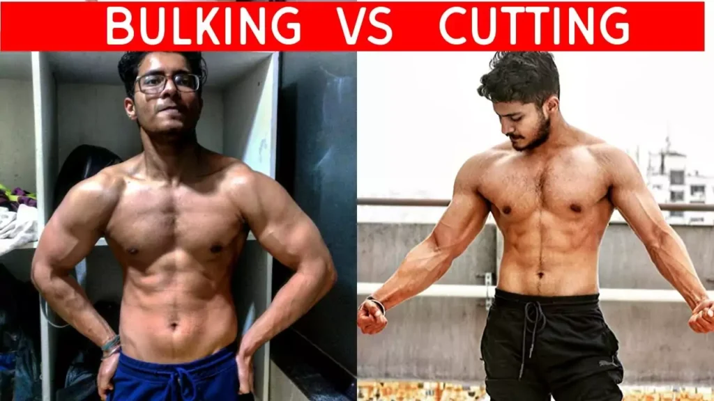 cutting vs bulking diets