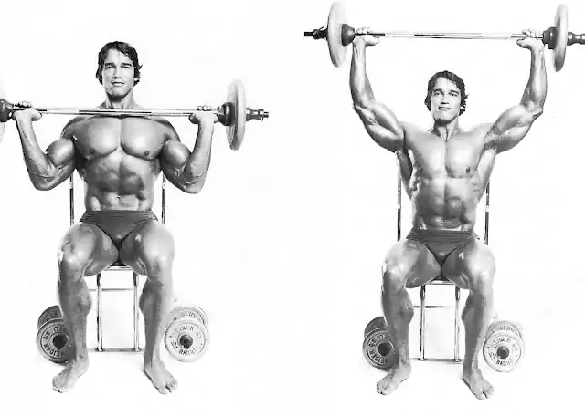 seated military shoulder press