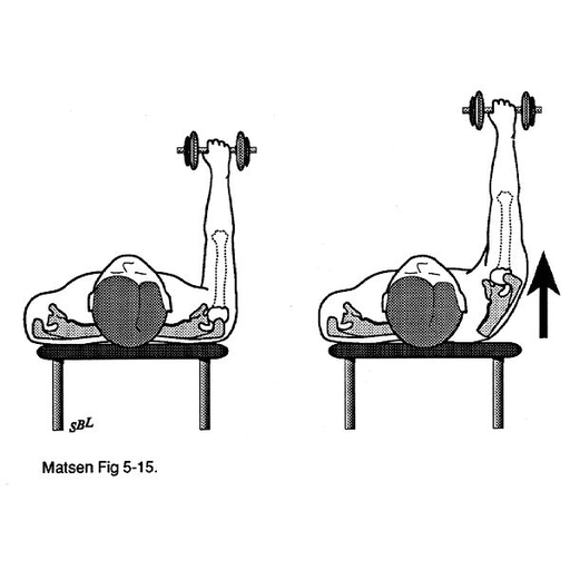 incline bench